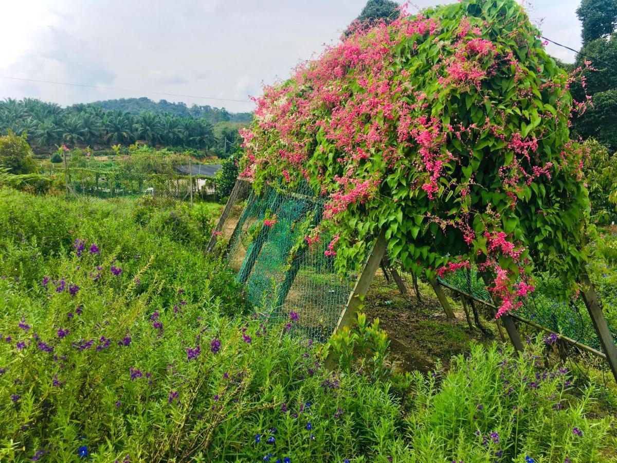 Durian Ecolodge Tampin Kültér fotó