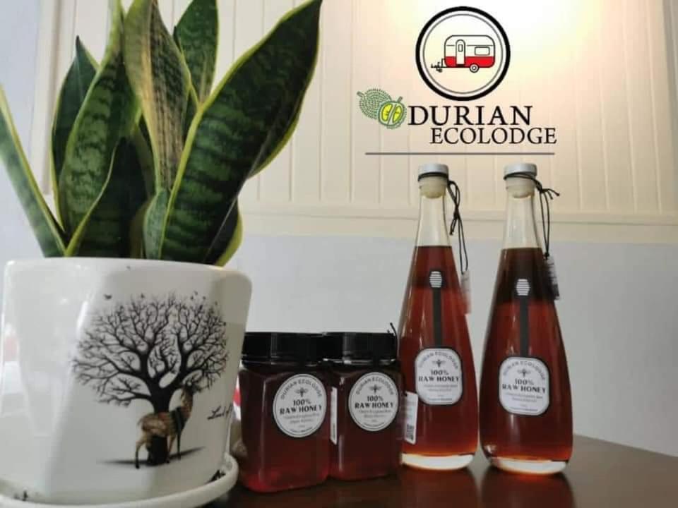 Durian Ecolodge Tampin Kültér fotó