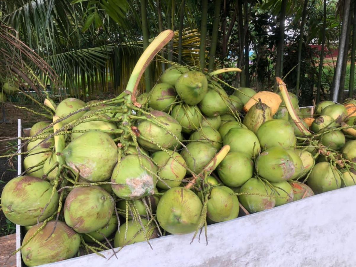 Durian Ecolodge Tampin Kültér fotó
